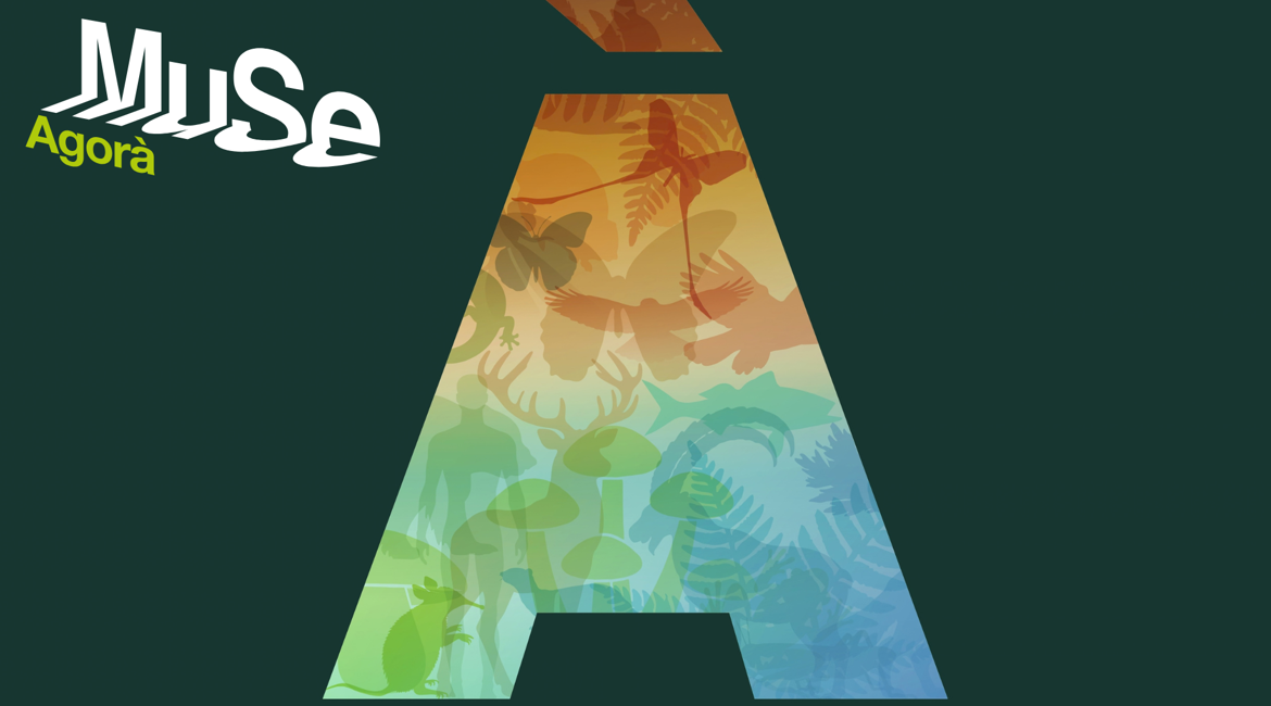 Parlamento Della Biodiversità